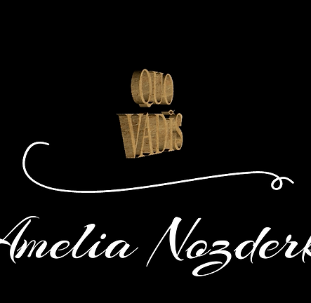 Screen Shot 2024-11-16 at 21.51.50.png